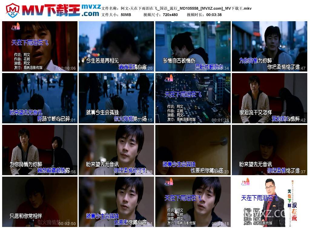 阿文-天在下雨泪在飞_国语_流行_MD105558